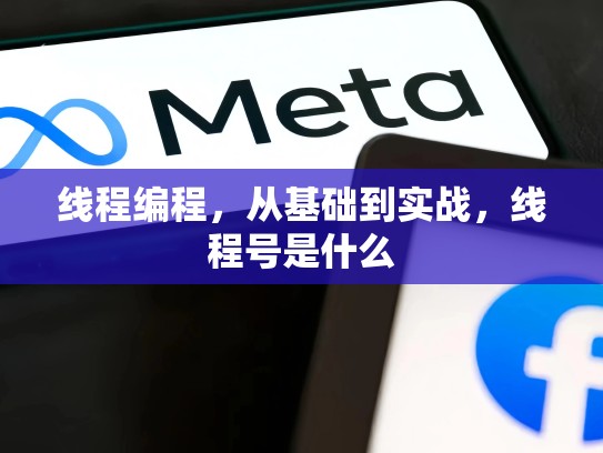 线程编程，从基础到实战，线程号是什么