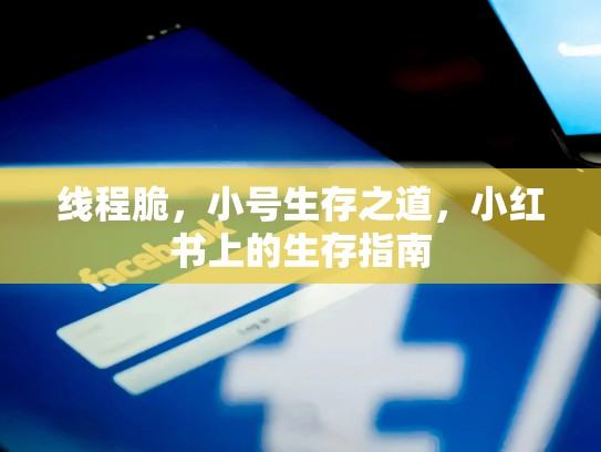 线程脆,小号生存之道,小红书上的生存指南