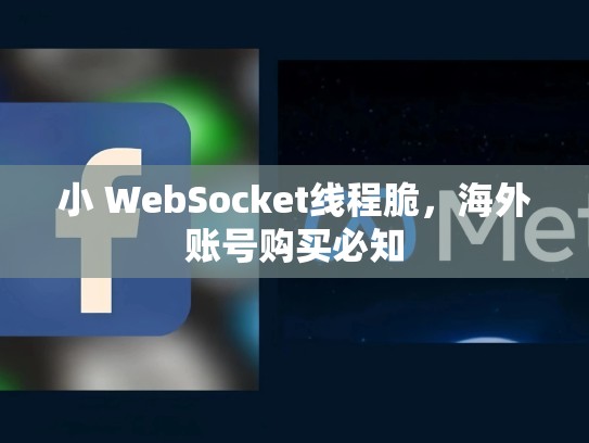 小 WebSocket线程脆，海外账号购买必知