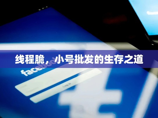 线程脆，小号批发的生存之道