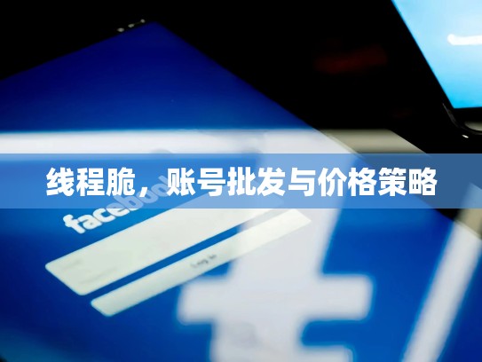 线程脆，账号批发与价格策略