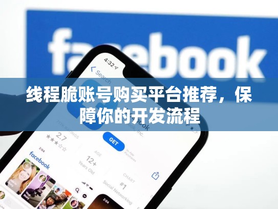 线程脆账号购买平台推荐,保障你的开发流程