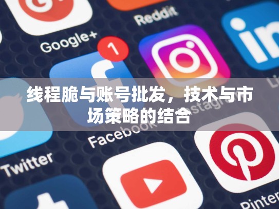 线程脆与账号批发，技术与市场策略的结合
