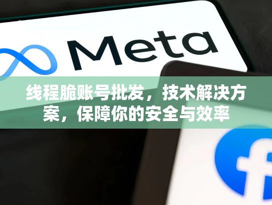 线程脆账号批发，技术解决方案，保障你的安全与效率