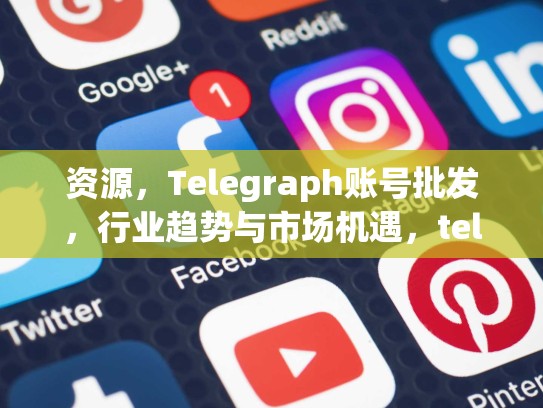资源，Telegraph账号批发，行业趋势与市场机遇，telgram账号