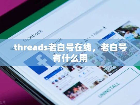 threads老白号在线，老白号有什么用