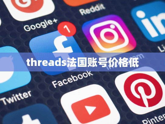 threads法国账号价格低